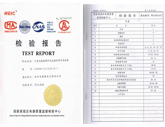 檢驗(yàn)報(bào)告